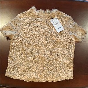 NWT Zara lace top
